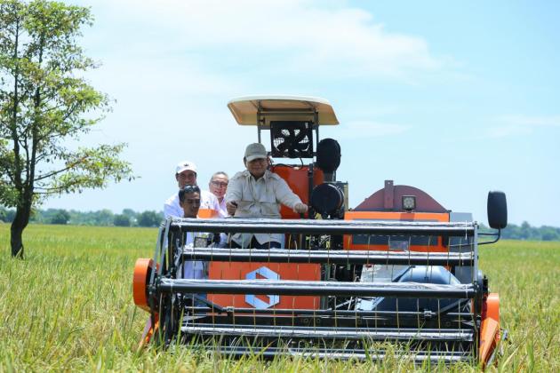 Produksi Beras Semester I/2025 Diprediksi Meningkat 11,17%, Kementan: Swasembada Semakin Dekat