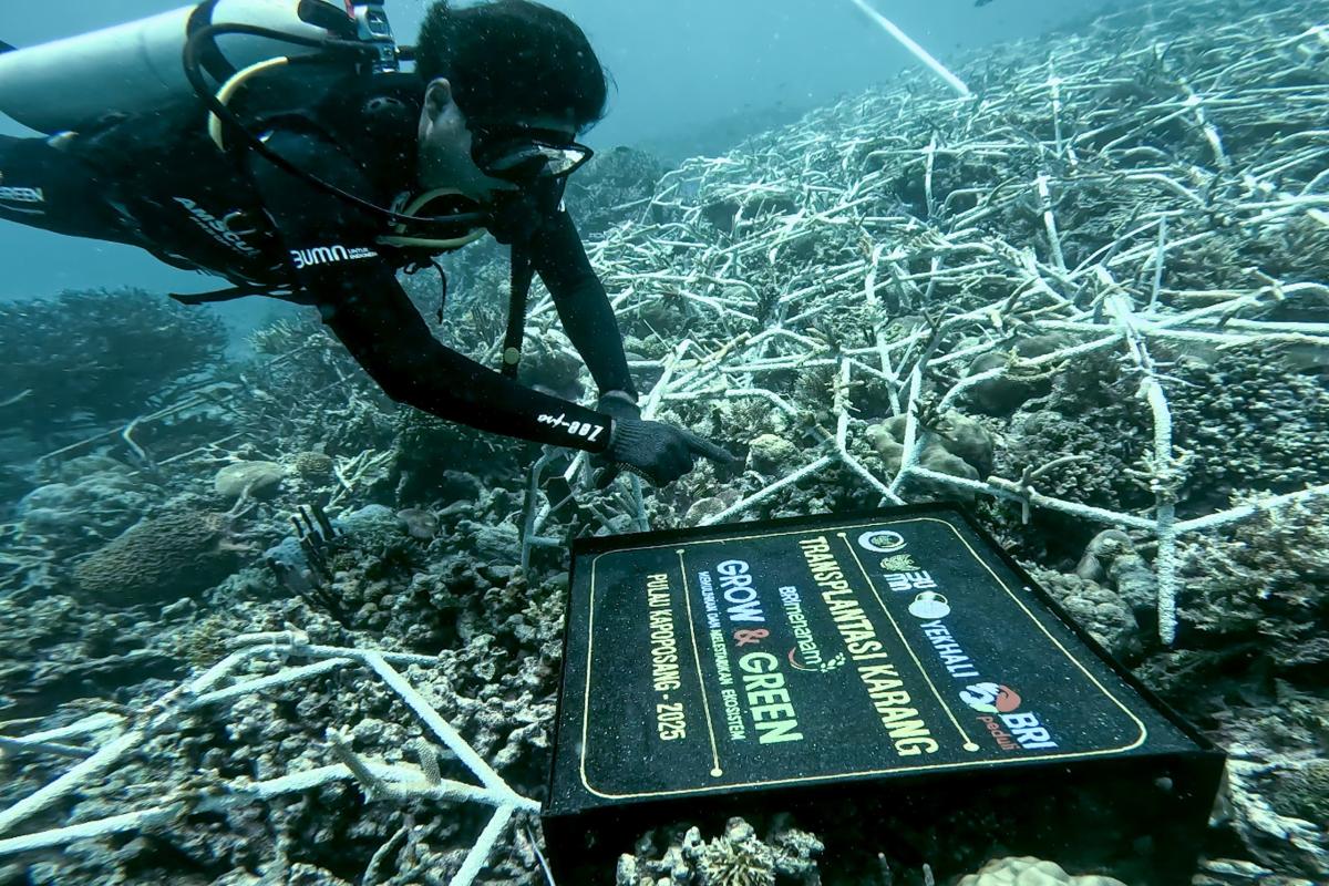 Peringati Hari Lingkungan Hidup Sedunia, BRI Pertegas Komitmen Lingkungan lewat Program BRI Menanam – Grow & Green