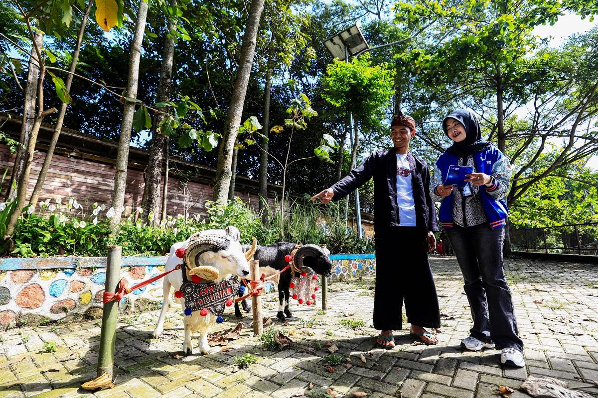 Idul Adha Jadi Momentum, BRI Peduli Tingkatkan Produktivitas Peternak Domba di Desa BRILiaN Sukalaksana Garut