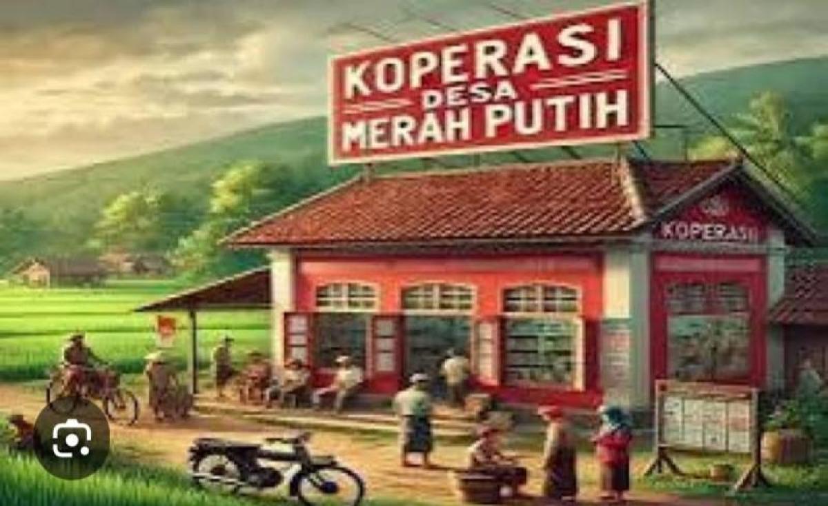 Bayi Sesar
