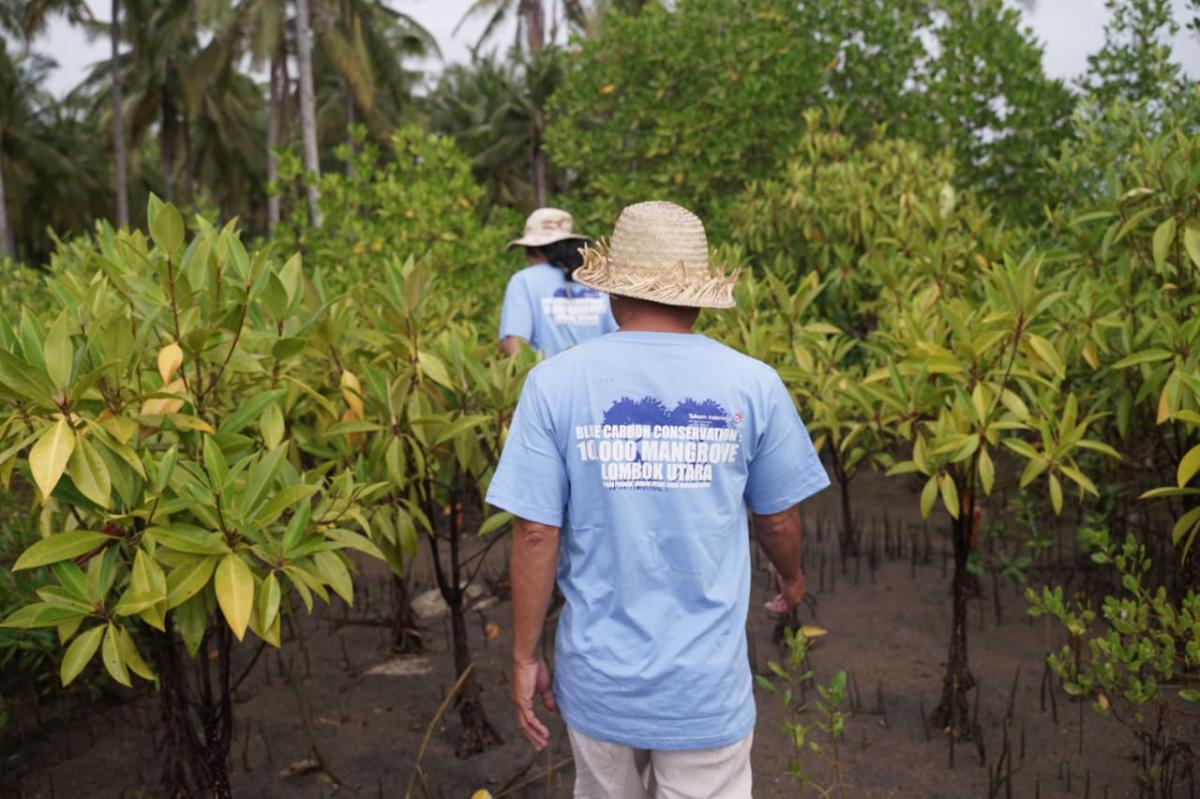 Telkom Dukung Restorasi Pesisir Lombok Utara Lewat Penanaman 10.000 Bibit Mangrove
