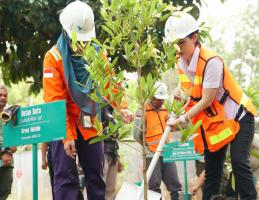 Reforestasi Capai 3 Kali Lipat Area Tambang, Vale Indonesia Komitmen Jaga Lingkungan