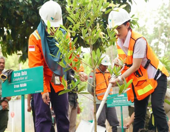 Reforestasi Capai 3 Kali Lipat Area Tambang, Vale Indonesia Komitmen Jaga Lingkungan