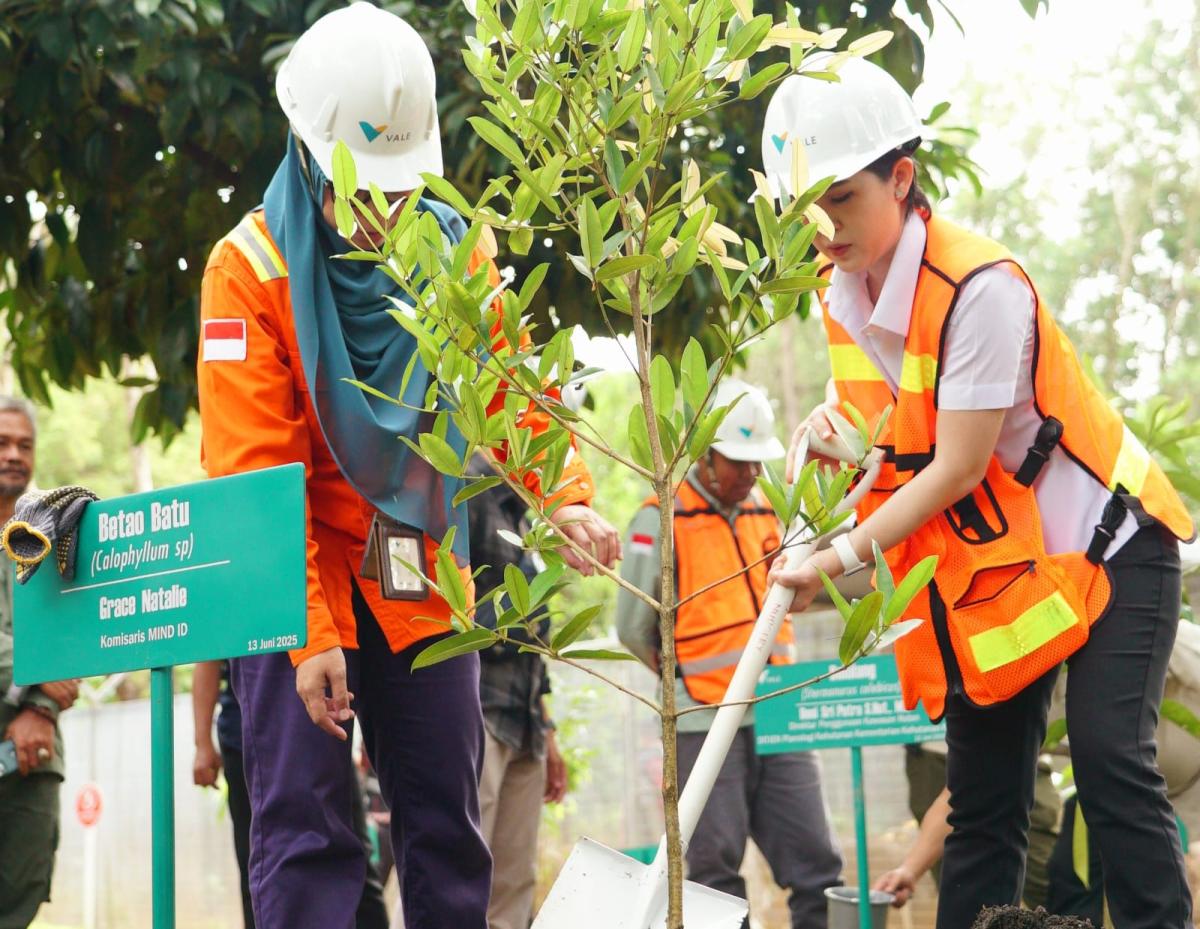 Reforestasi Capai 3 Kali Lipat Area Tambang, Vale Indonesia Komitmen Jaga Lingkungan