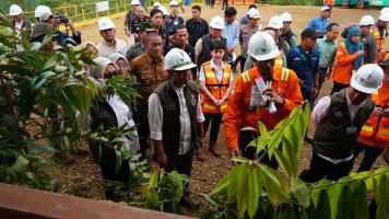 Reforestasi Capai 3 Kali Lipat Area Tambang, Vale Indonesia Komitmen Jaga Lingkungan 053752
