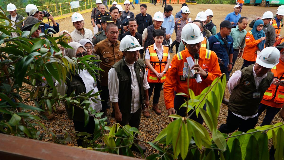 Reforestasi Capai 3 Kali Lipat Area Tambang, Vale Indonesia Komitmen Jaga Lingkungan 053752