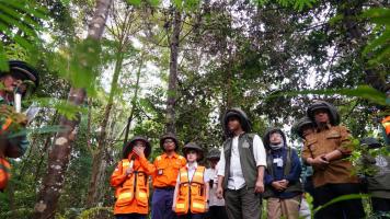 Reforestasi Capai 3 Kali Lipat Area Tambang, Vale Indonesia Komitmen Jaga Lingkungan 053813