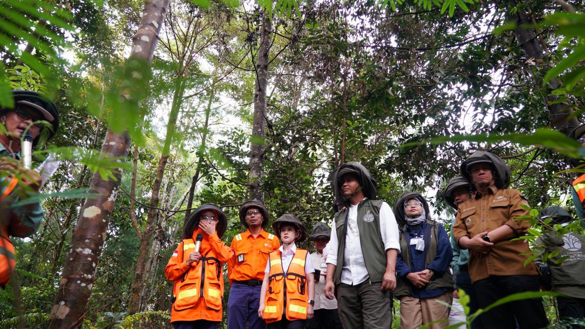 Reforestasi Capai 3 Kali Lipat Area Tambang, Vale Indonesia Komitmen Jaga Lingkungan 053813