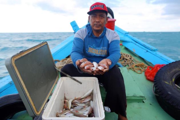 MIND ID Komitmen Perkuat Pendampingan Budi Daya Ikan Laut