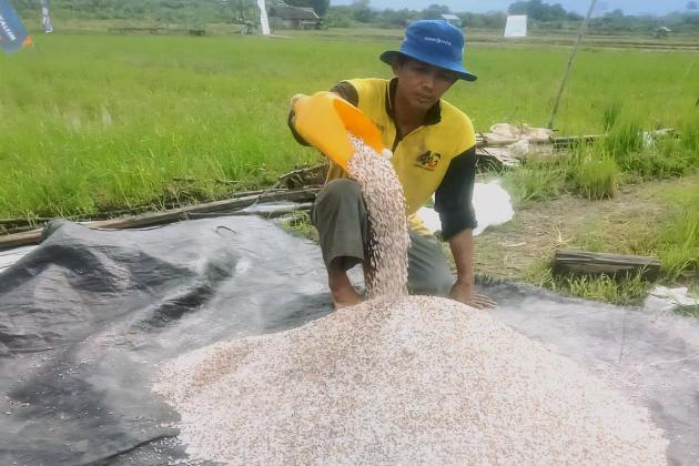 Resign dari Perusahaan Migas, Pria Ini Sukses Raup Ratusan Juta Rupiah Sebagai Petani