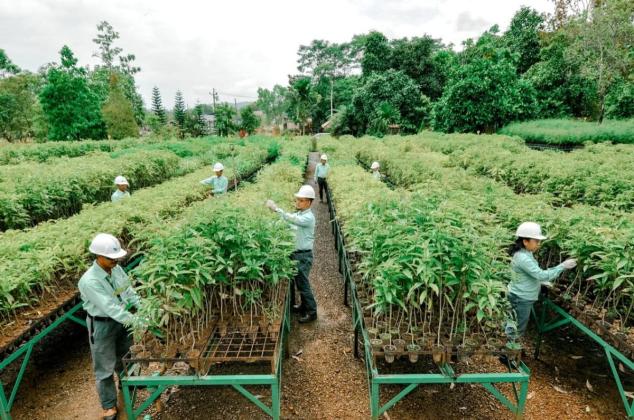Swasembada Pangan Nasional, MIND ID Berdayakan Petani