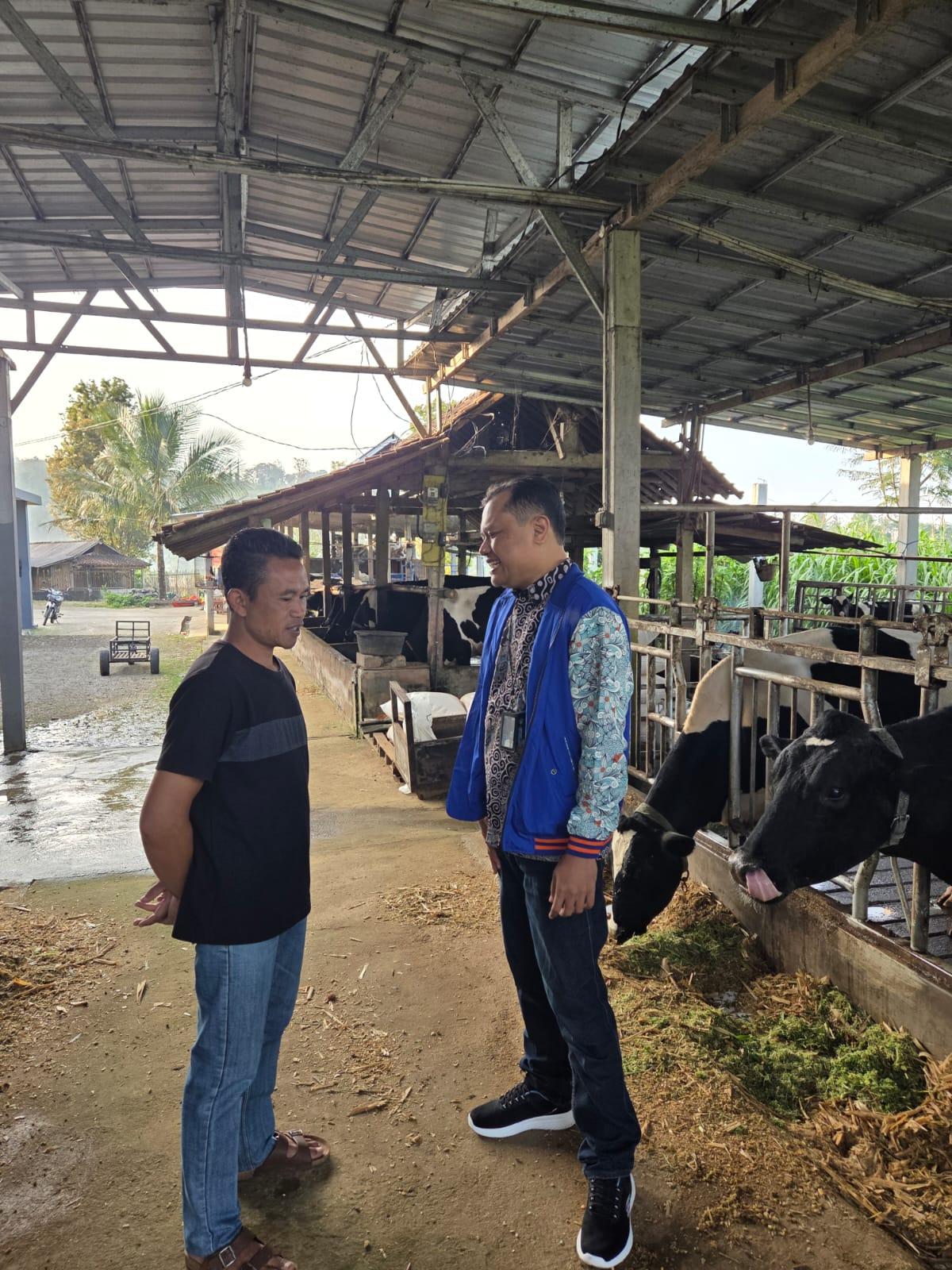 Kisah Pengusaha Pakan Ternak dari Ponorogo Ini Buktikan KUR BRI Bisa Bikin Usaha Berkembang