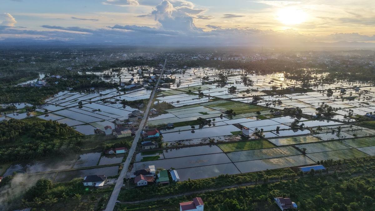 Brantas Abipraya Dukung Asta Cita Lewat Pembangunan Irigasi di Empat Wilayah