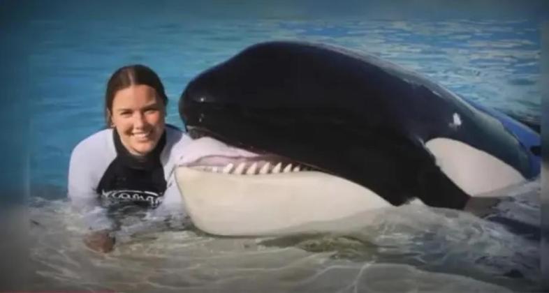 Fakta Jessica Dimakan Paus Orca? Video Mengerikan Ini Bikin Netizen Panik!