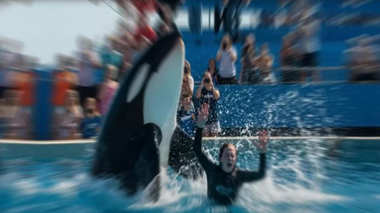 Kabar Jessica Radcliffe Tewas dalam Serangan Ikan Paus Orca: Cek Fakta Sebenarnya!