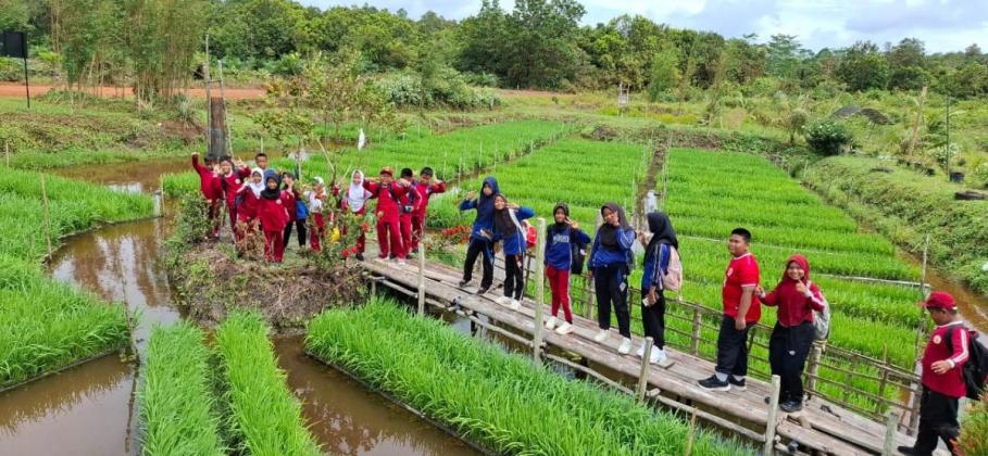 Perkuat Ketahanan Energi hingga Ketahanan Pangan, Pertamina Kembangkan 110 Inovasi lewat Program PFmuda