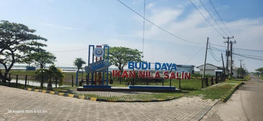 Waskita Karya Kantongi Kontrak Rp238,86 Miliar untuk Proyek Budidaya Ikan Nila Salin di Karawang