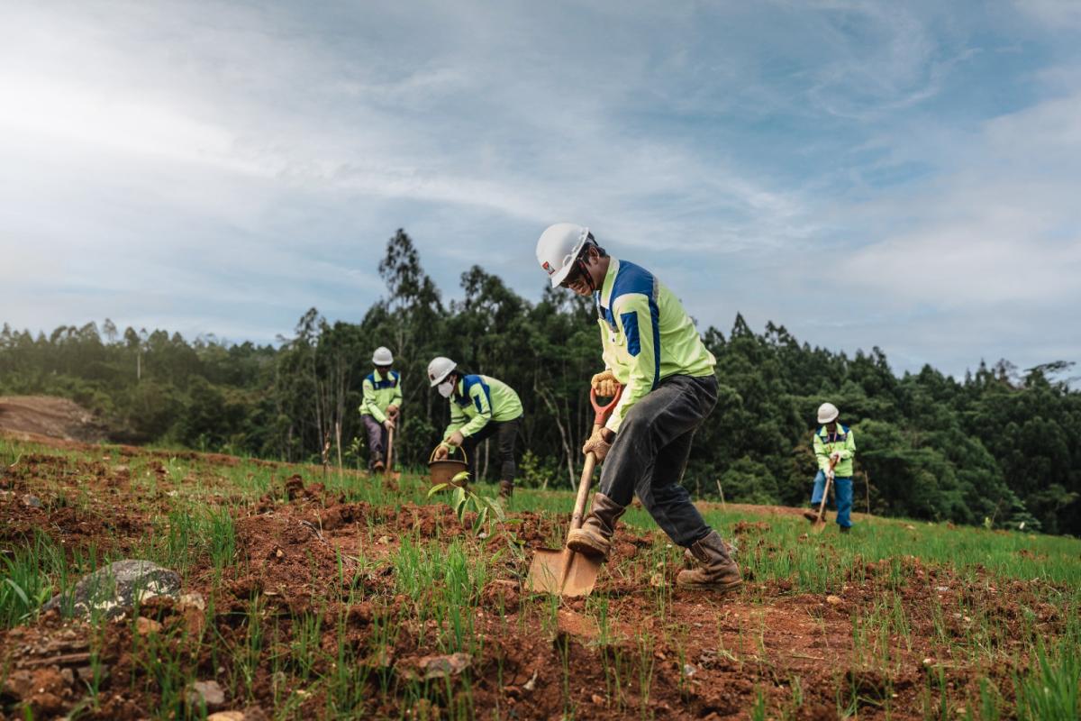 Hilirisasi Nikel di Sulawesi, MIND ID Serap Ribuan Tenaga Kerja Lokal