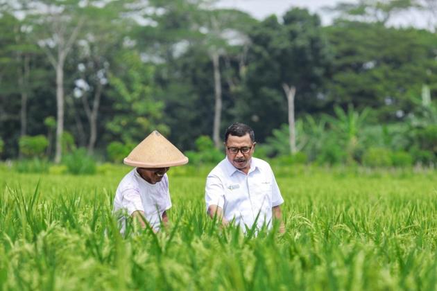 Peringati Hari Tani Nasional, Pupuk Kaltim Perkuat Dukungan pada Pertanian Berkelanjutan Lewat Agrosolution