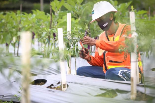 Genjot Ekonomi Sirkuler, MIND ID Bersama Masyarakat Ubah Sampah Menjadi Produk Bernilai