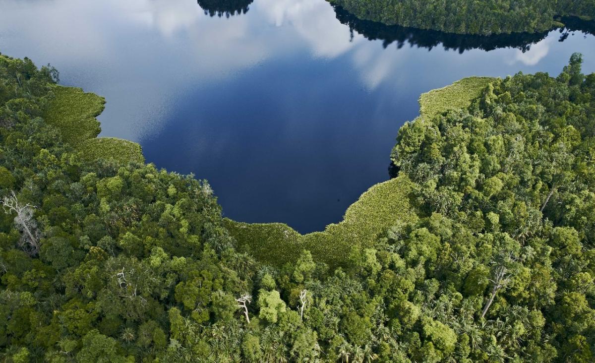 Indonesia Perkuat Integritas Pasar Karbon Nasional Melalui Kolaborasi Global