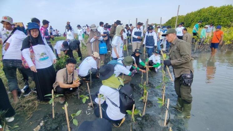 Bersama Warga, PLN Rehabilitasi Mangrove Lindungi Pesisir Utara Jateng dari Banjir Rob