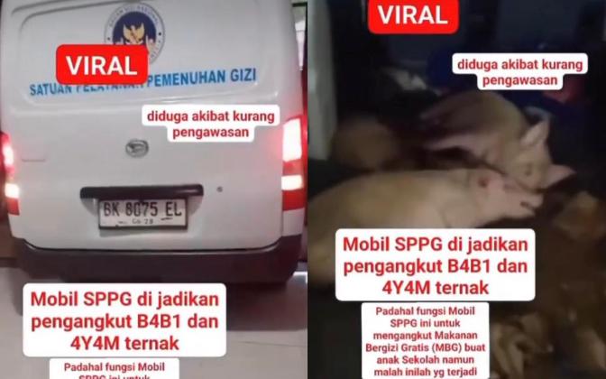 Heboh! Mobil Dinas Program Gizi Gratis Dipakai Angkut Babi dan Ayam di Nias Selatan