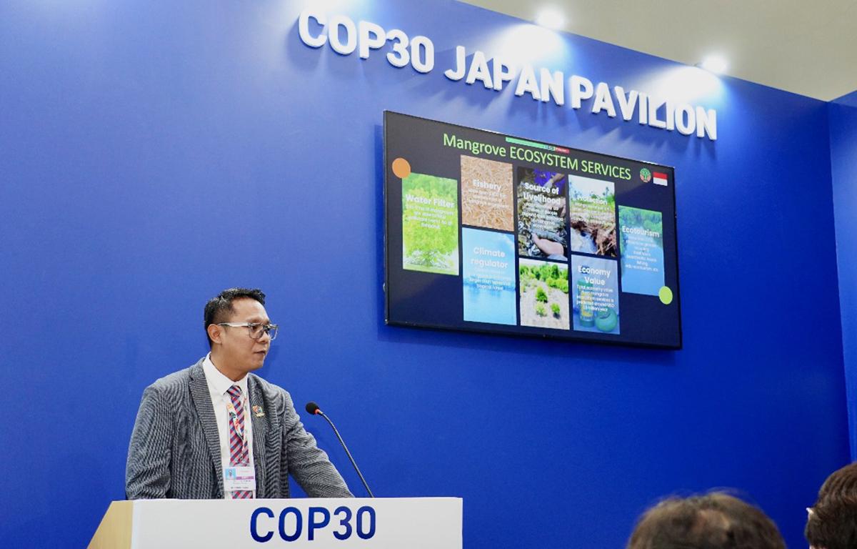 Mengubah Mangrove Menjadi Investasi Iklim Strategis Lewat Inovasi Pembiayaan