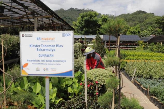 Perkuat Keberpihakan pada Ekonomi Kerakyatan, Holding Ultra Mikro BRI Salurkan Pembiayaan Rp632 Triliun kepada 34,5 Juta Debitur