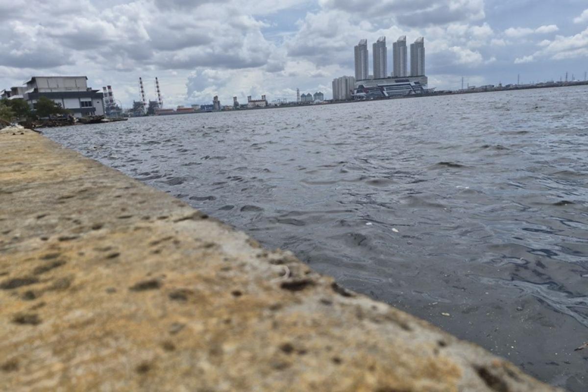 GAWAT! Tembok Pantai Mutiara 'Napasnya di Ujung Tanduk', Nyaris Sejajar Air Laut: Ancaman Banjir Rob Jakarta Didepan Mata!