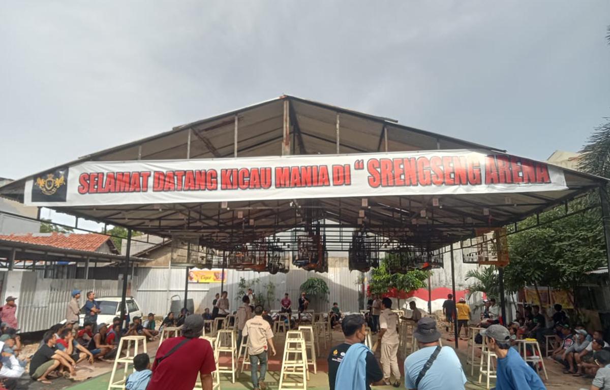 Kicau Mania: Antara Hobi, Gengsi dan Silaturahmi