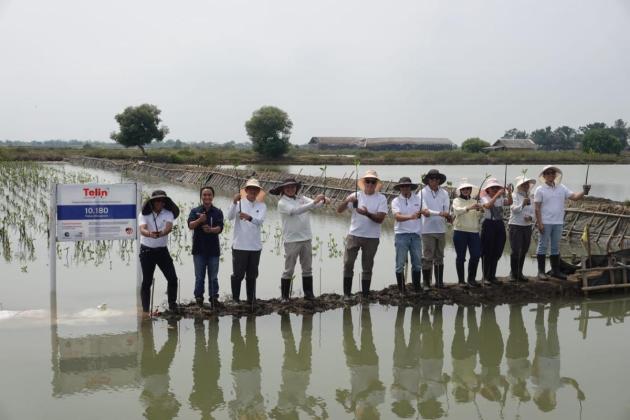 Tanam 10.180 Mangrove, Telin Wujudkan Komitmen Keberlanjutan BATIC 2025