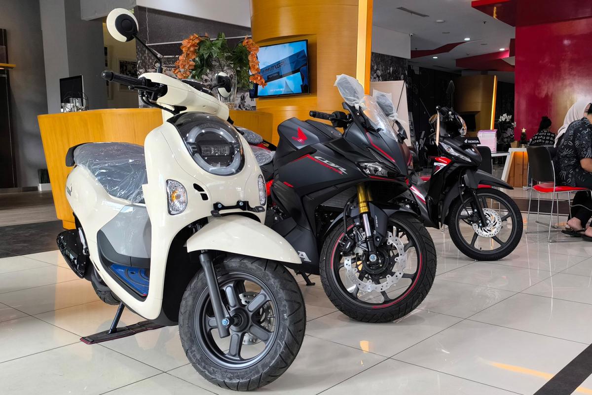 WAJIB DIBURU! PT WMS Obral Diskon Akhir Tahun, Potongan Harganya Bikin Ngiler!