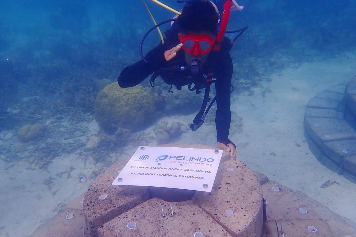Pelindo Petikemas Terapkan Teknologi Terumbu Buatan APR untuk Dorong Wisata Berkelanjutan Karimunjawa