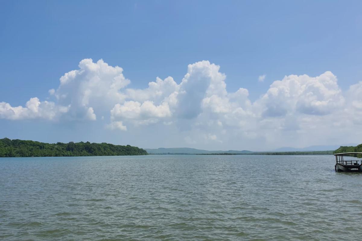 Suasana Hutan Mangrove Bedul (Tuahta Aldo / fin.co.id)