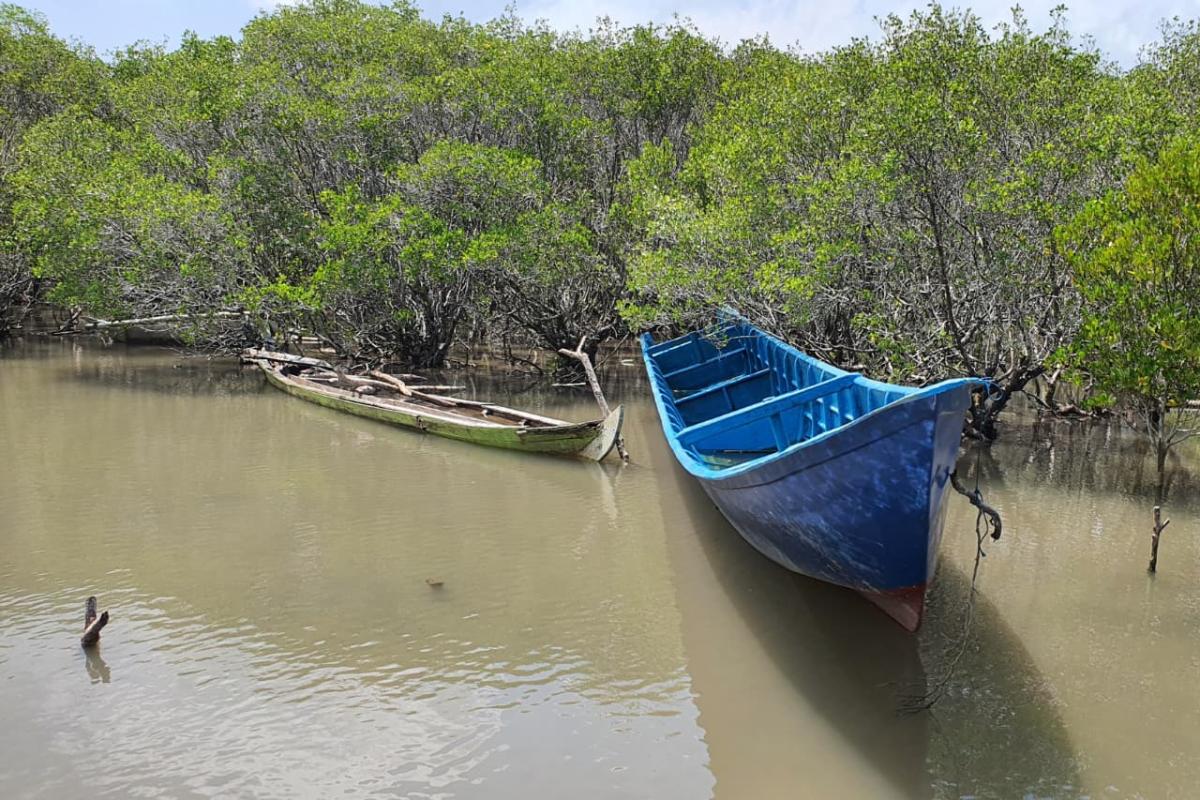 Suasana Hutan Mangrove Bedul (Tuahta Aldo / fin.co.id)