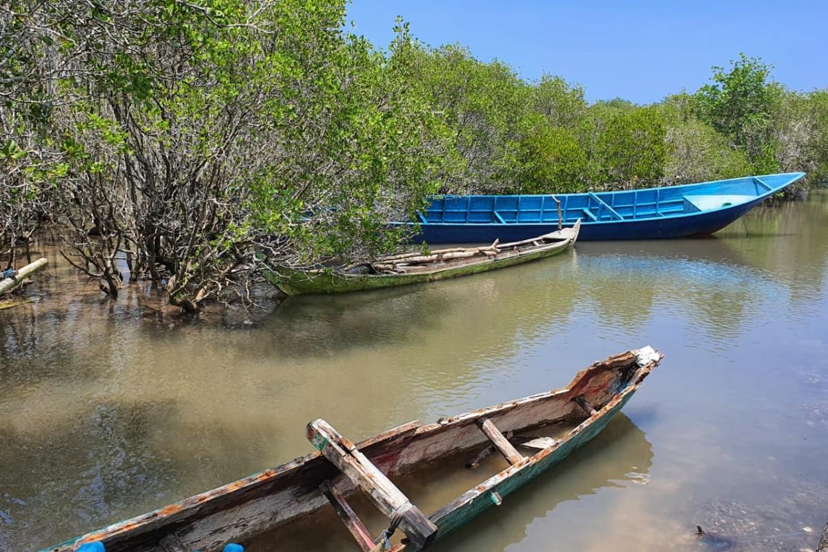 Suasana Hutan Mangrove Bedul (Tuahta Aldo / fin.co.id)
