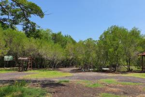Suasana pintu masuk Hutan Mangrove Bedul (Tuahta Aldo / fin.co.id)