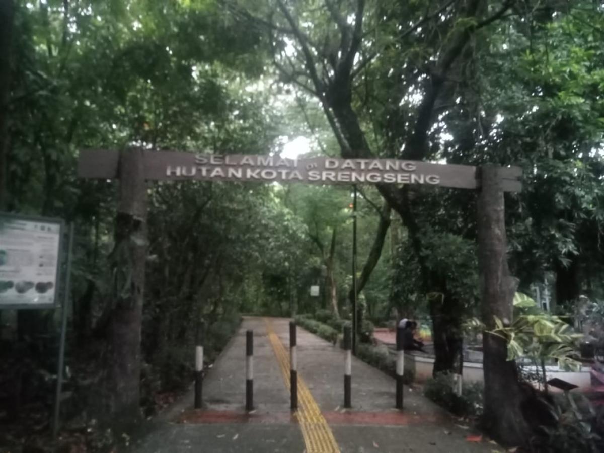 Melihat Lebih Dekat Wisata Hutan Kota Srengseng