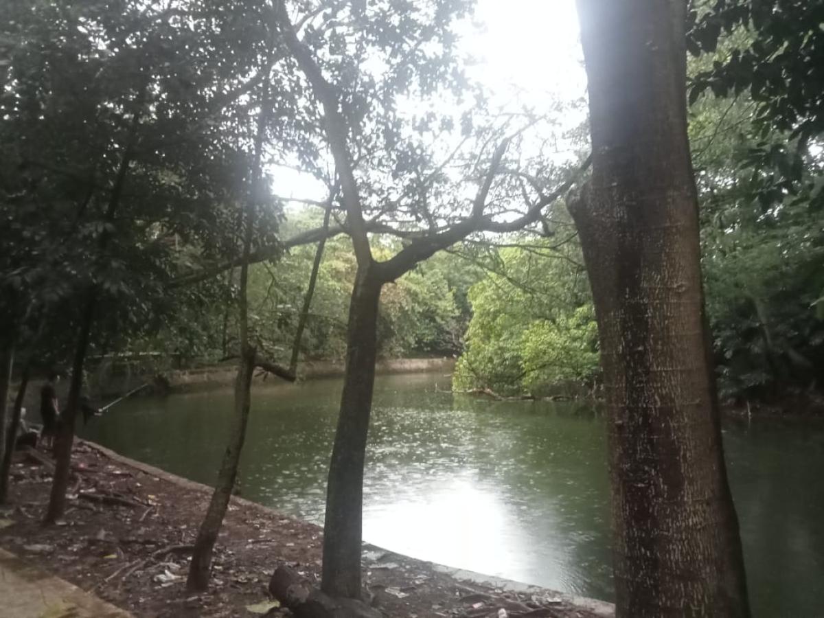 Melihat Lebih Dekat Wisata Hutan Kota Srengseng
