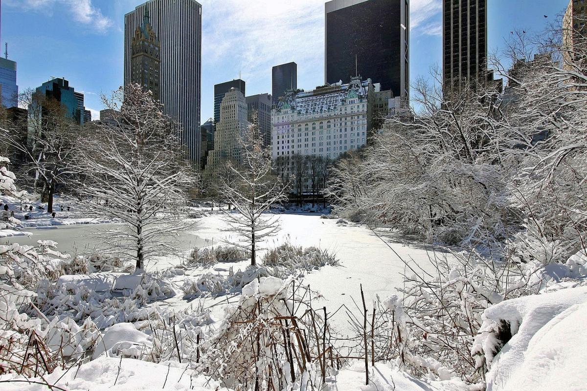 AS Hadapi Badai Musim Dingin Langka, Suhu Bisa Tembus Minus 50 Derajat Celsius