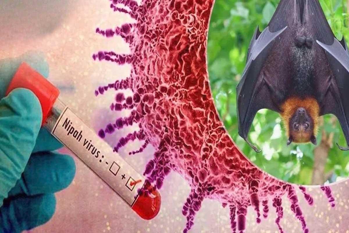 Ancaman Virus Nipah Mulai Mengintai: DPR Desak Pemerintah Perketat Pintu Masuk Indonesia