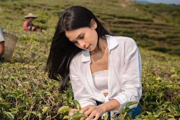 Maudy Ayunda Rilis Single Aku yang Engkau Cari, Soundtrack Film Para Perasuk 2026