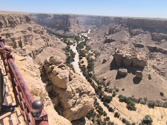 Tarim Tanah