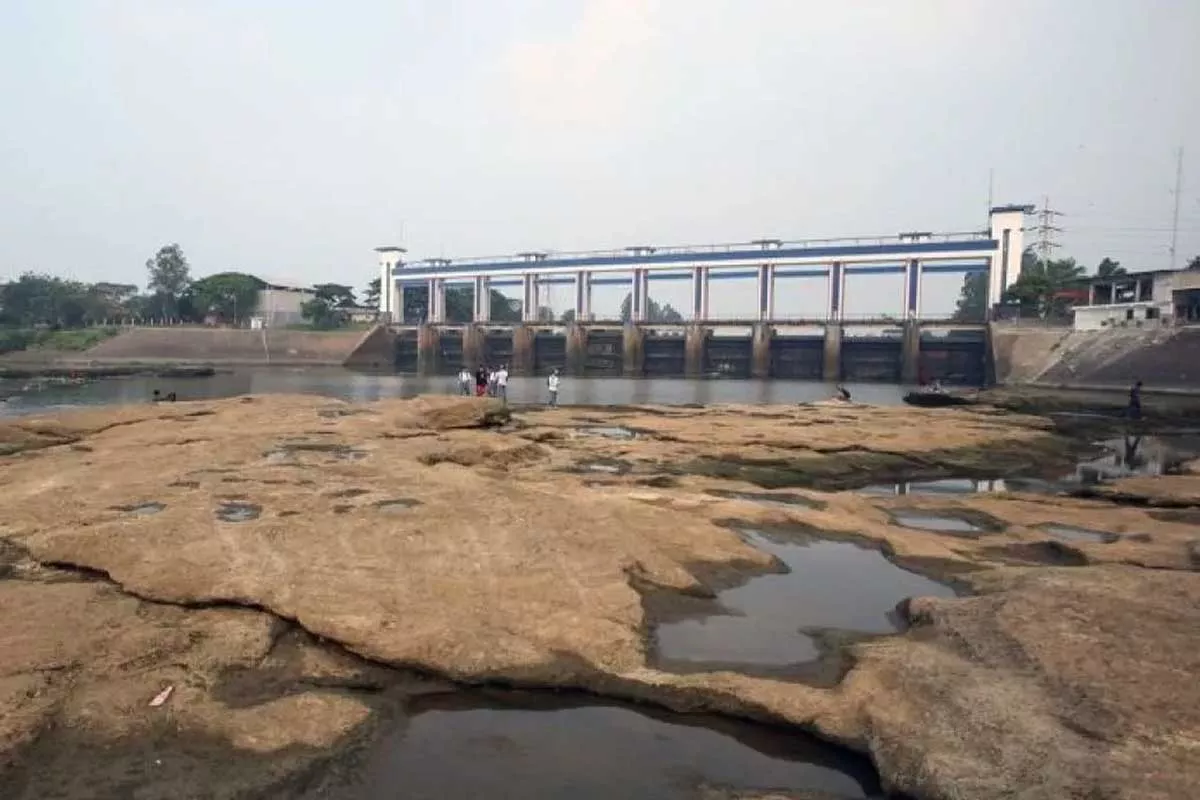 Awas! Sungai Cisadane Tercemar Pestisida, Warga Dilarang Keras Konsumsi Ikan Terpapar Zat Kimia