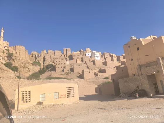 Tarim Habib