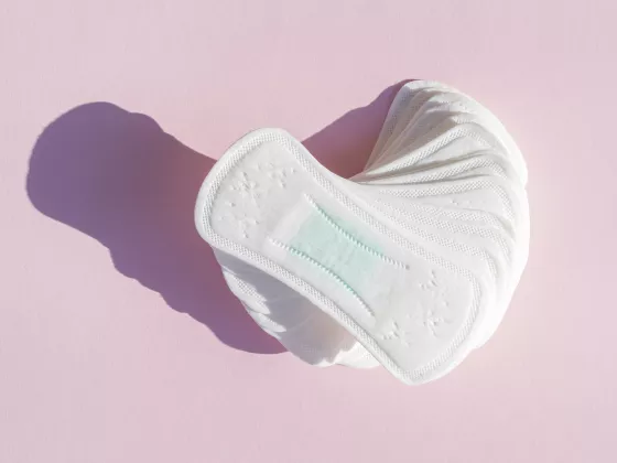 Pantyliner vs Tanpa Pelapis: Mana yang Lebih Sehat untuk Miss V?