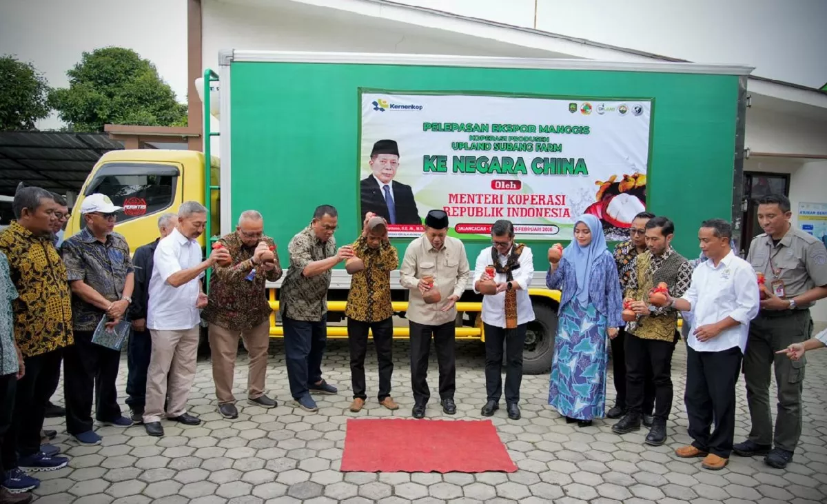  Manggis Subang Tembus China, LPDB Koperasi Siap Perkuat Pembiayaan Hingga Rp20 Miliar
