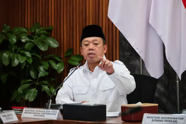 Dukung Ketahanan Pangan, Pemerintah Akan Tetapkan Lahan Sawah yang Dilindungi di 12 Provinsi