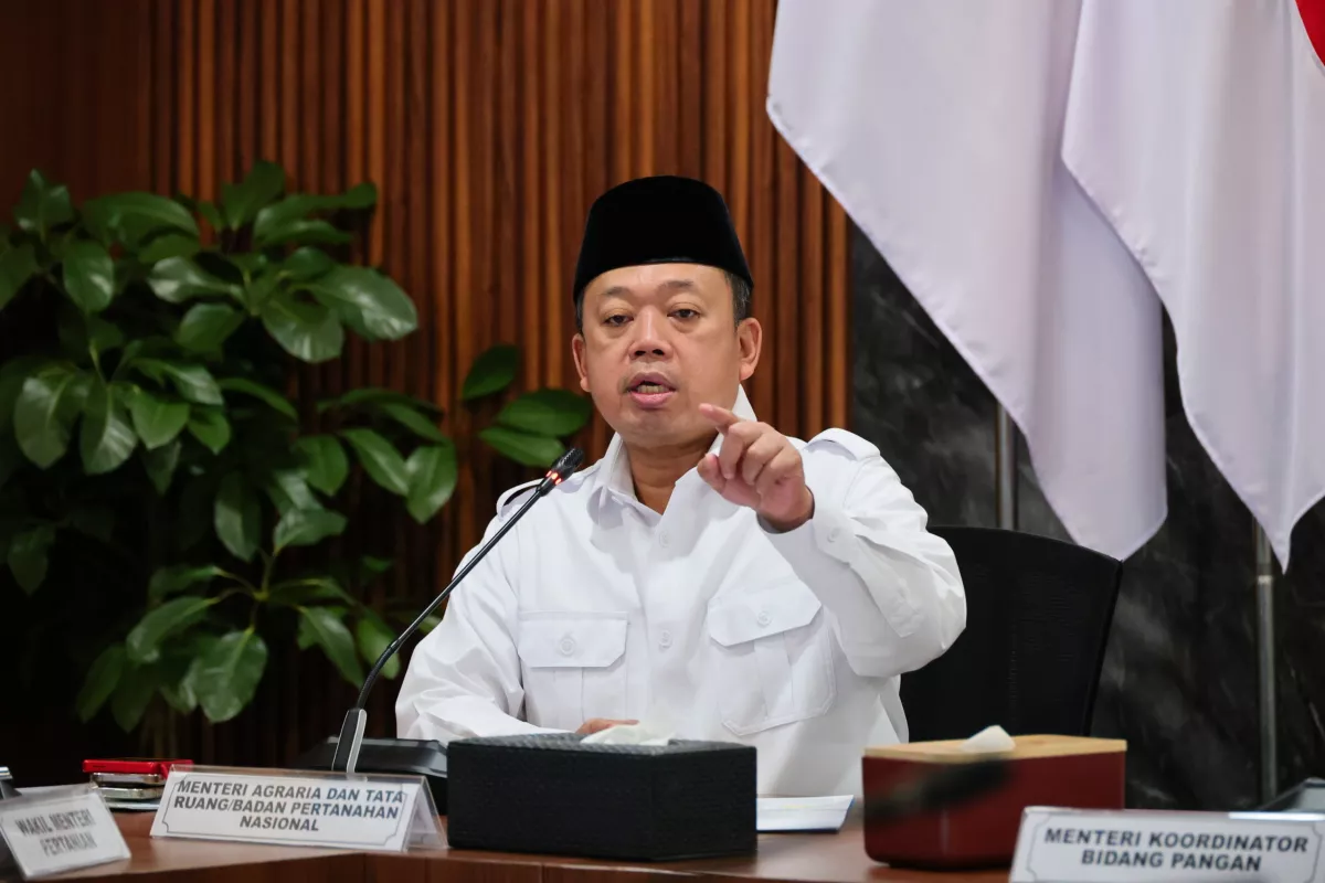 Dukung Ketahanan Pangan, Pemerintah Akan Tetapkan Lahan Sawah yang Dilindungi di 12 Provinsi